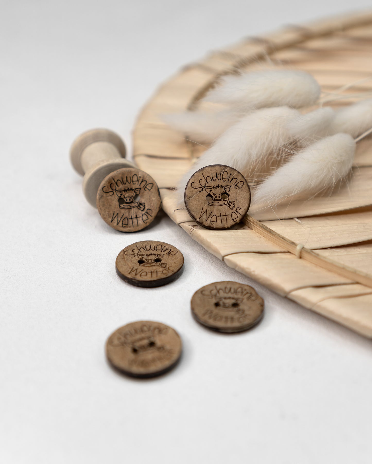 Knopf Schweine Wetter