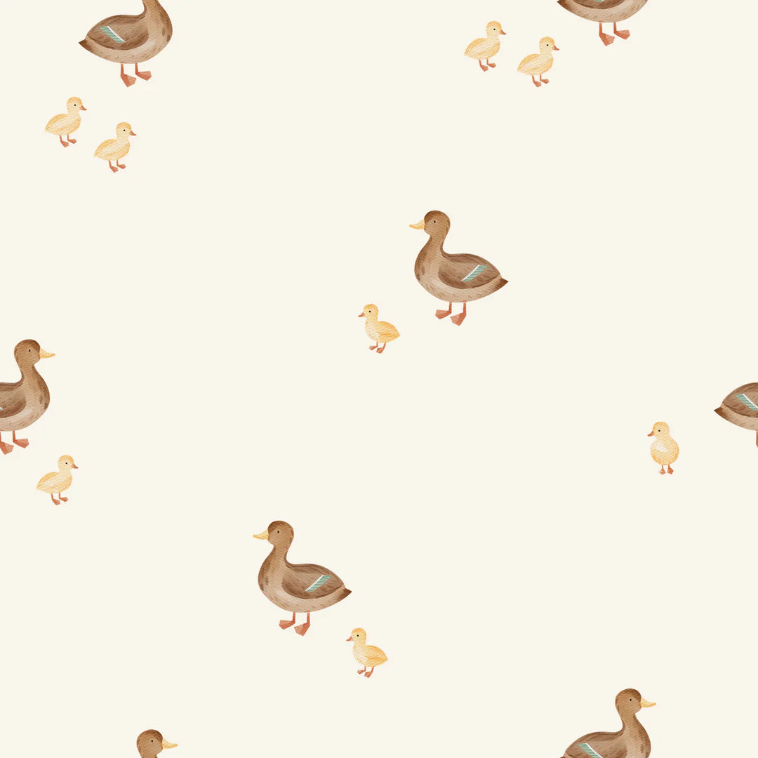 Enten Kollektion - Rib Jersey