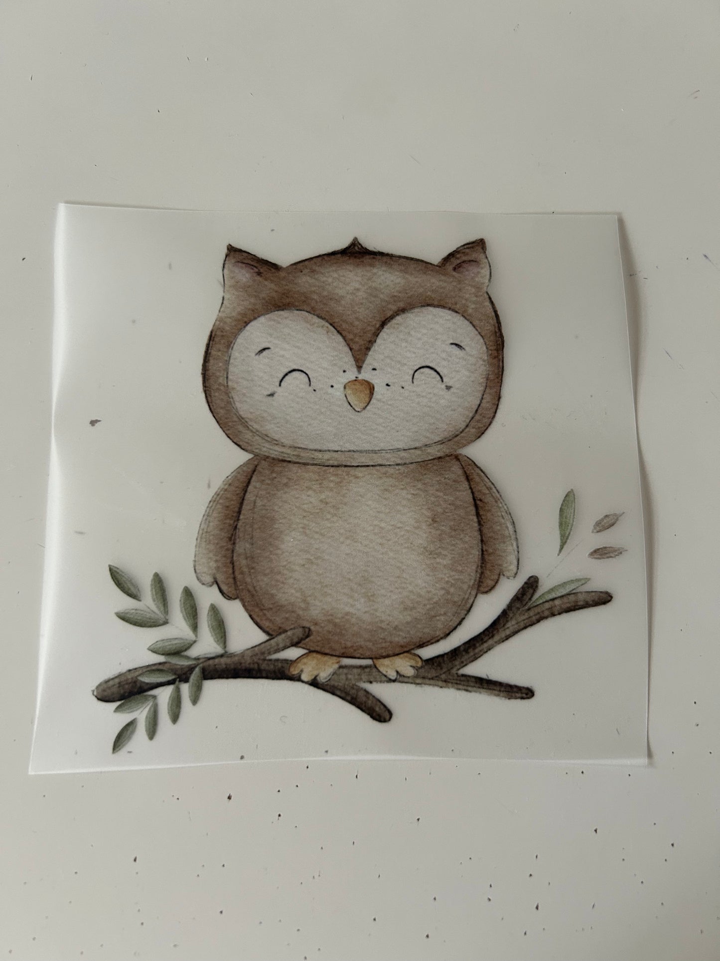 Eule - Bügelbild