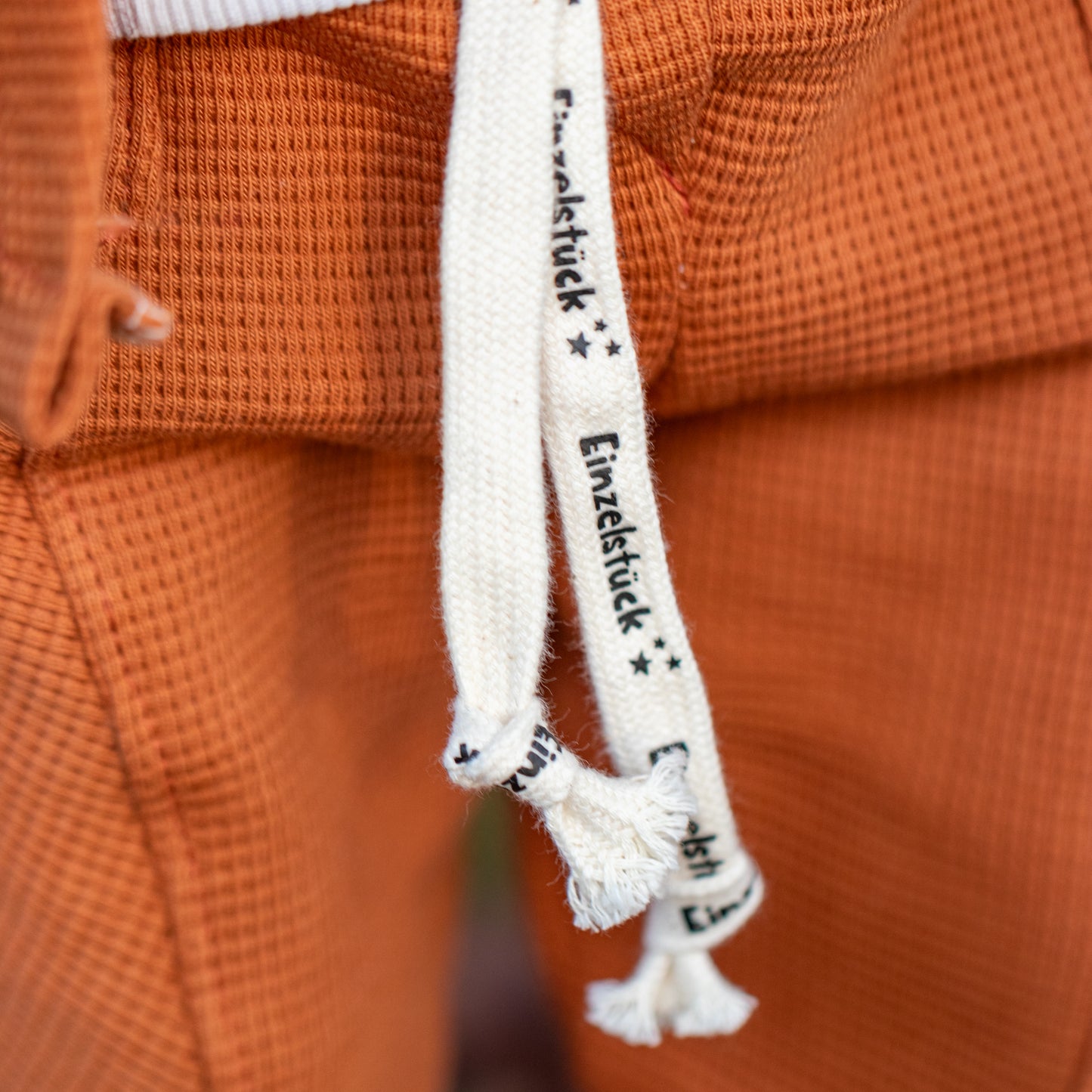 Fuchs im Flugzeug - Rib Jersey