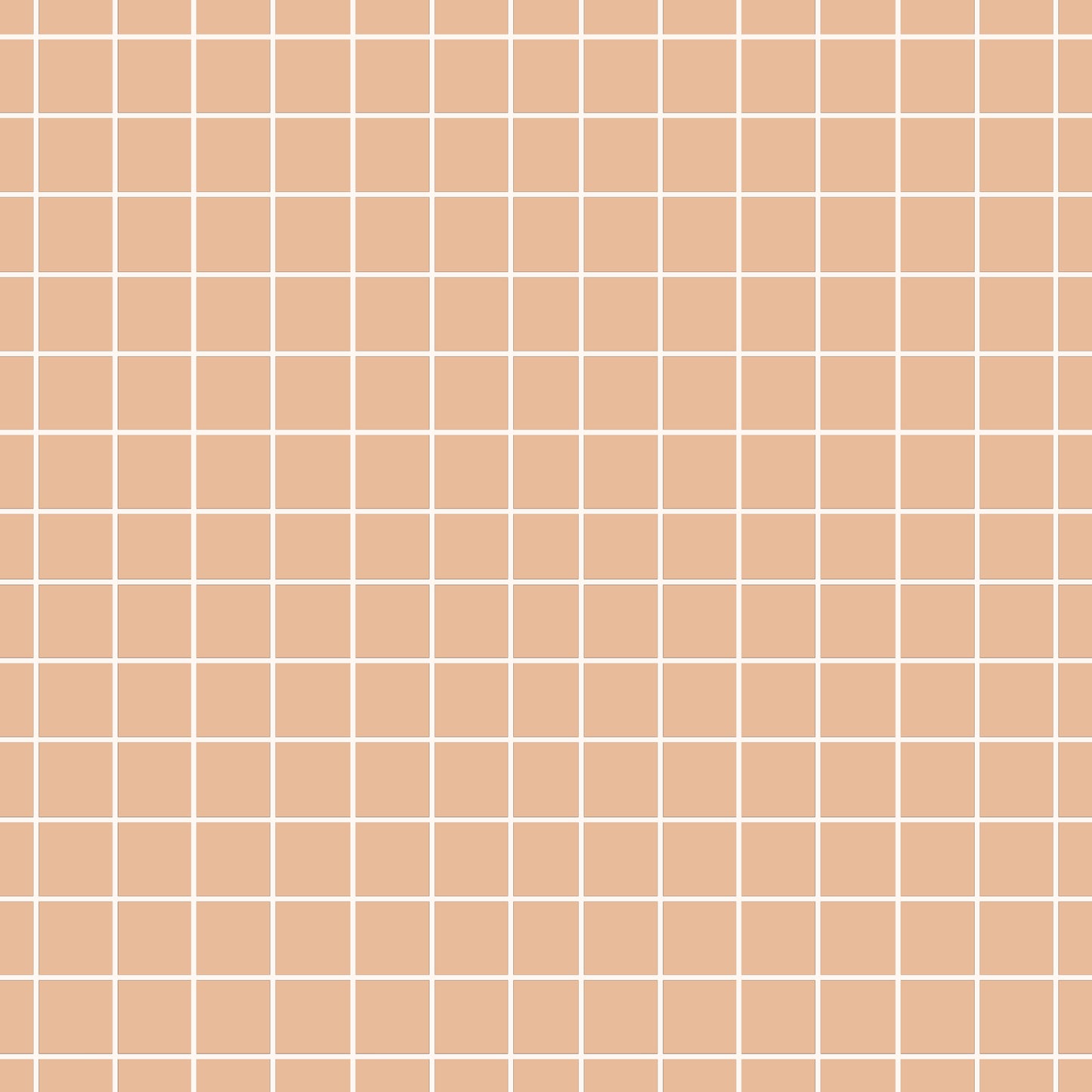 Mini Grid warmbeige Kombi Löwe Lio - French Terry