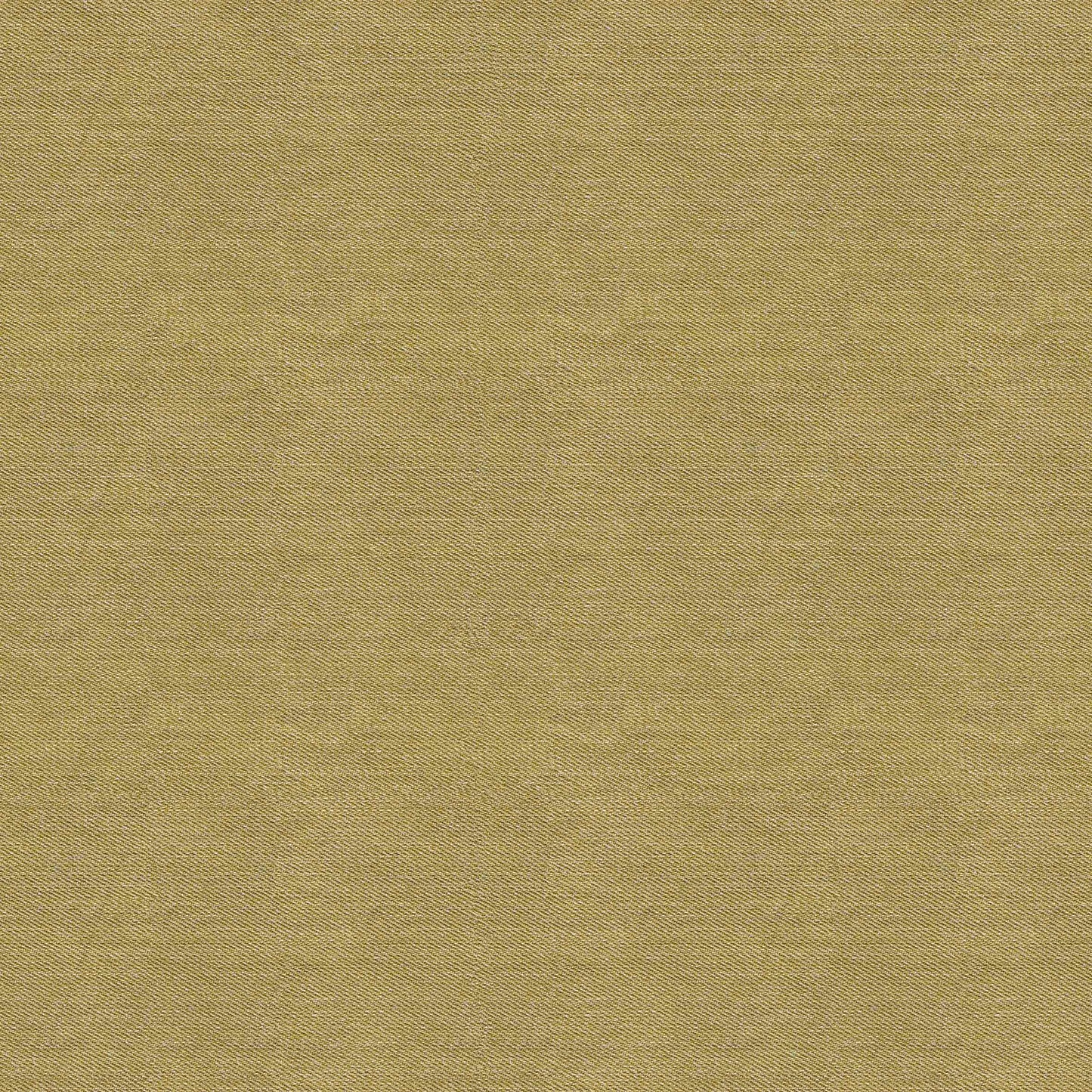 Denim mustard French Terry