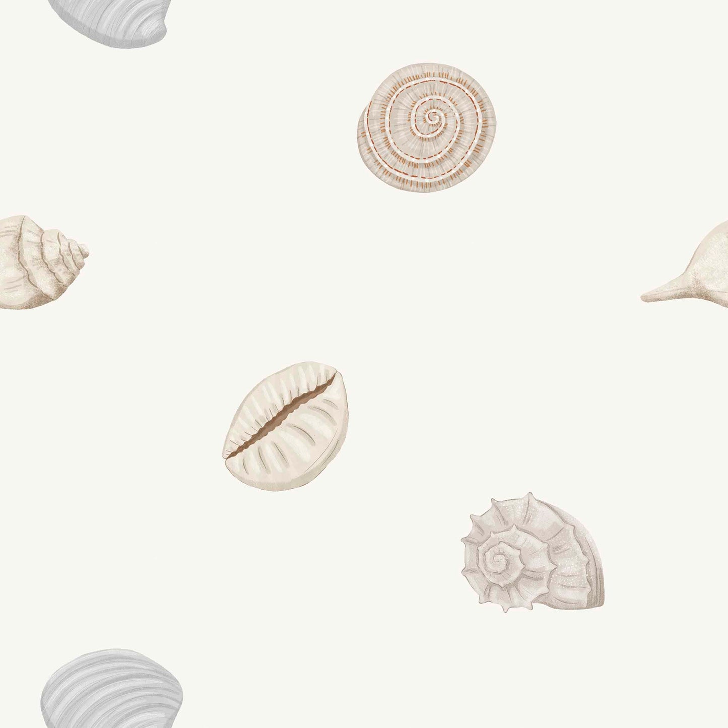 Muscheln - Rib Jersey