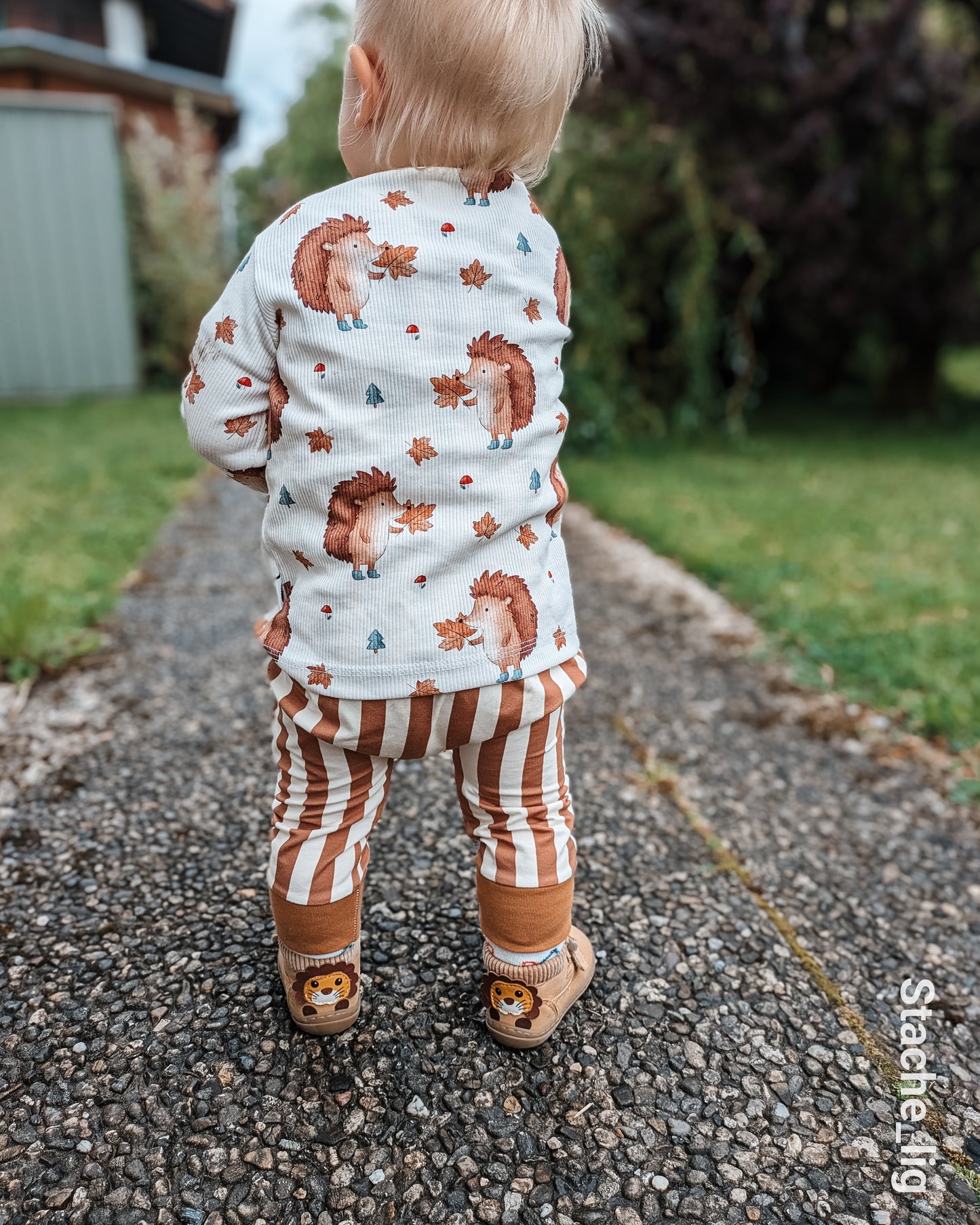 Igel mit Blättern cream - Rib Jersey