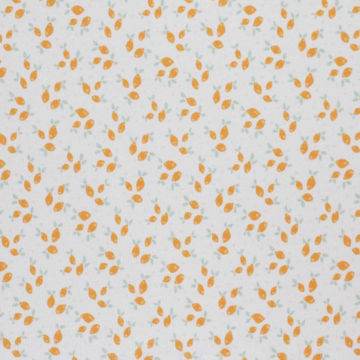 little Lemons & Leaves - Rib Jersey
