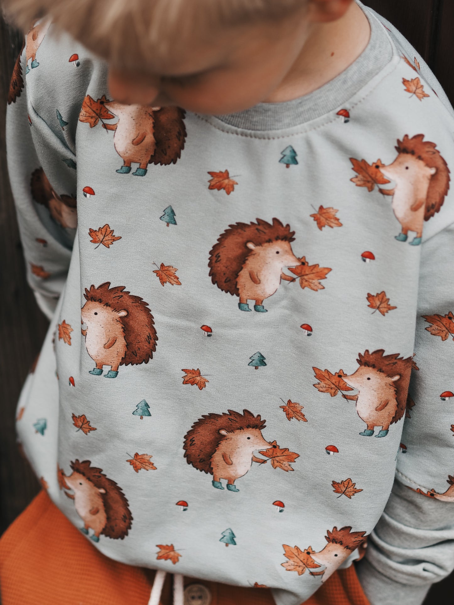 Igel im Herbst mint - French Terry