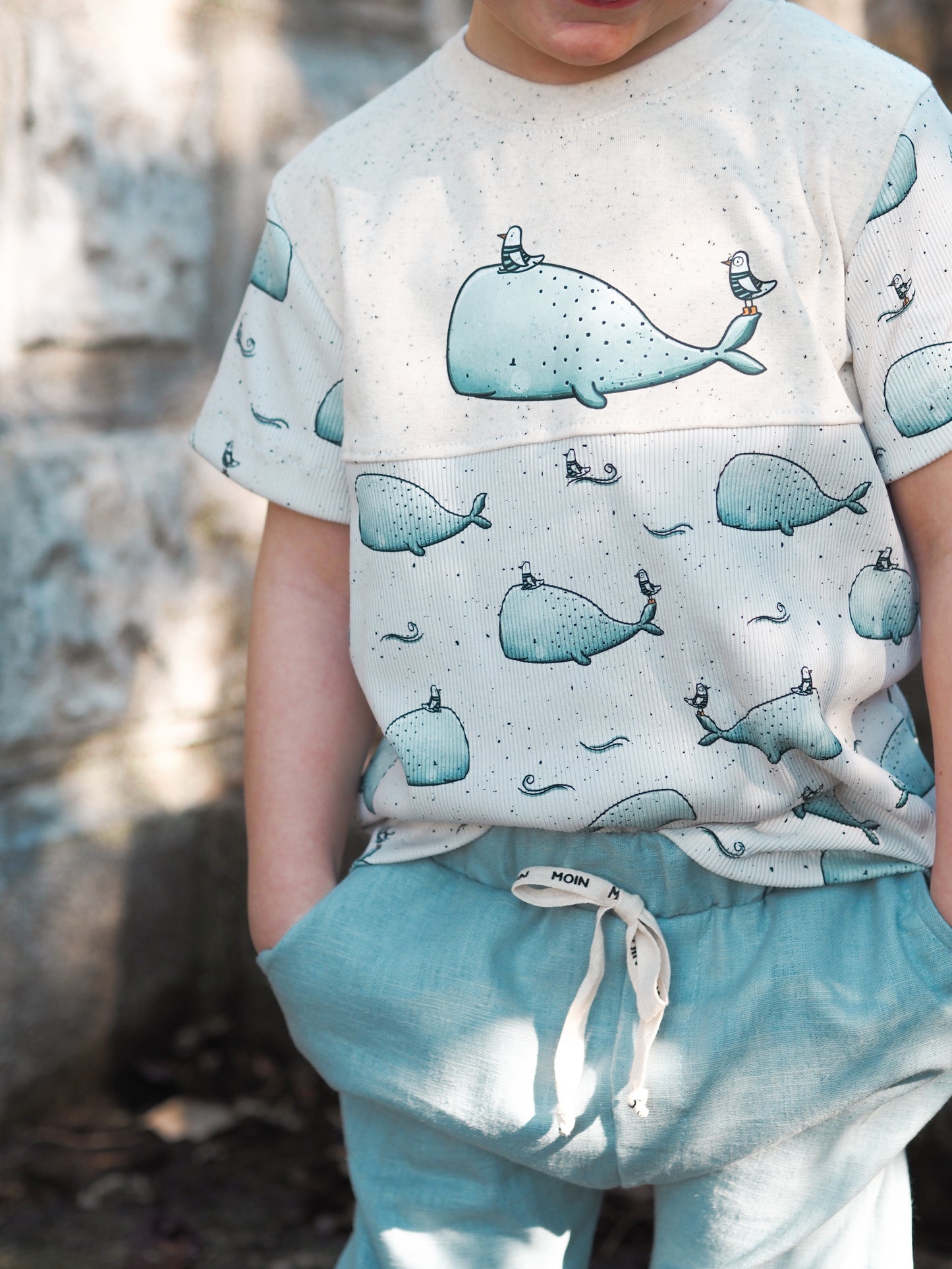 Wal & Möwen blau/beige - Rib Jersey