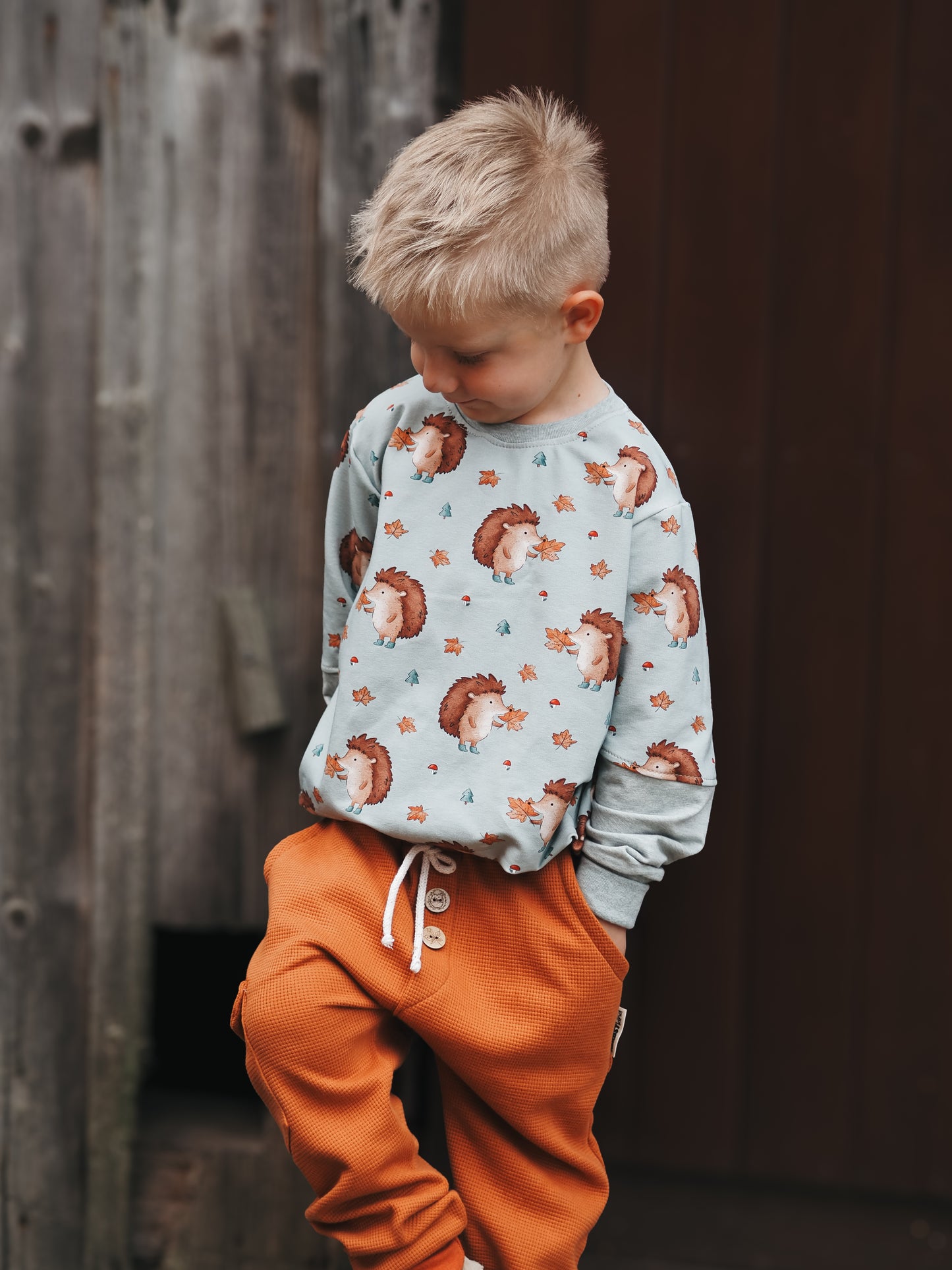 Igel im Herbst mint - French Terry
