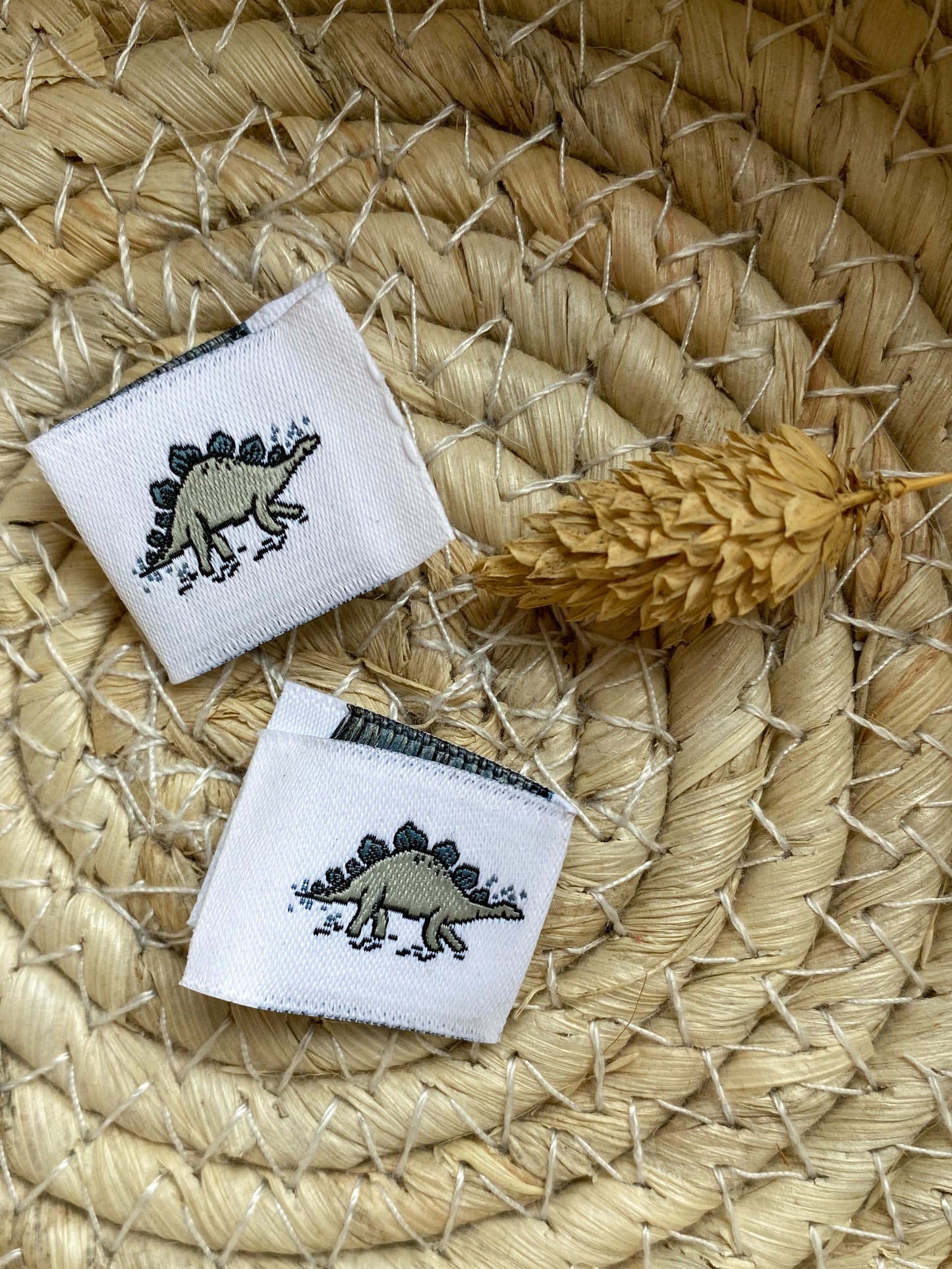 Dino Mountain (Stegosaurus) - Web Label