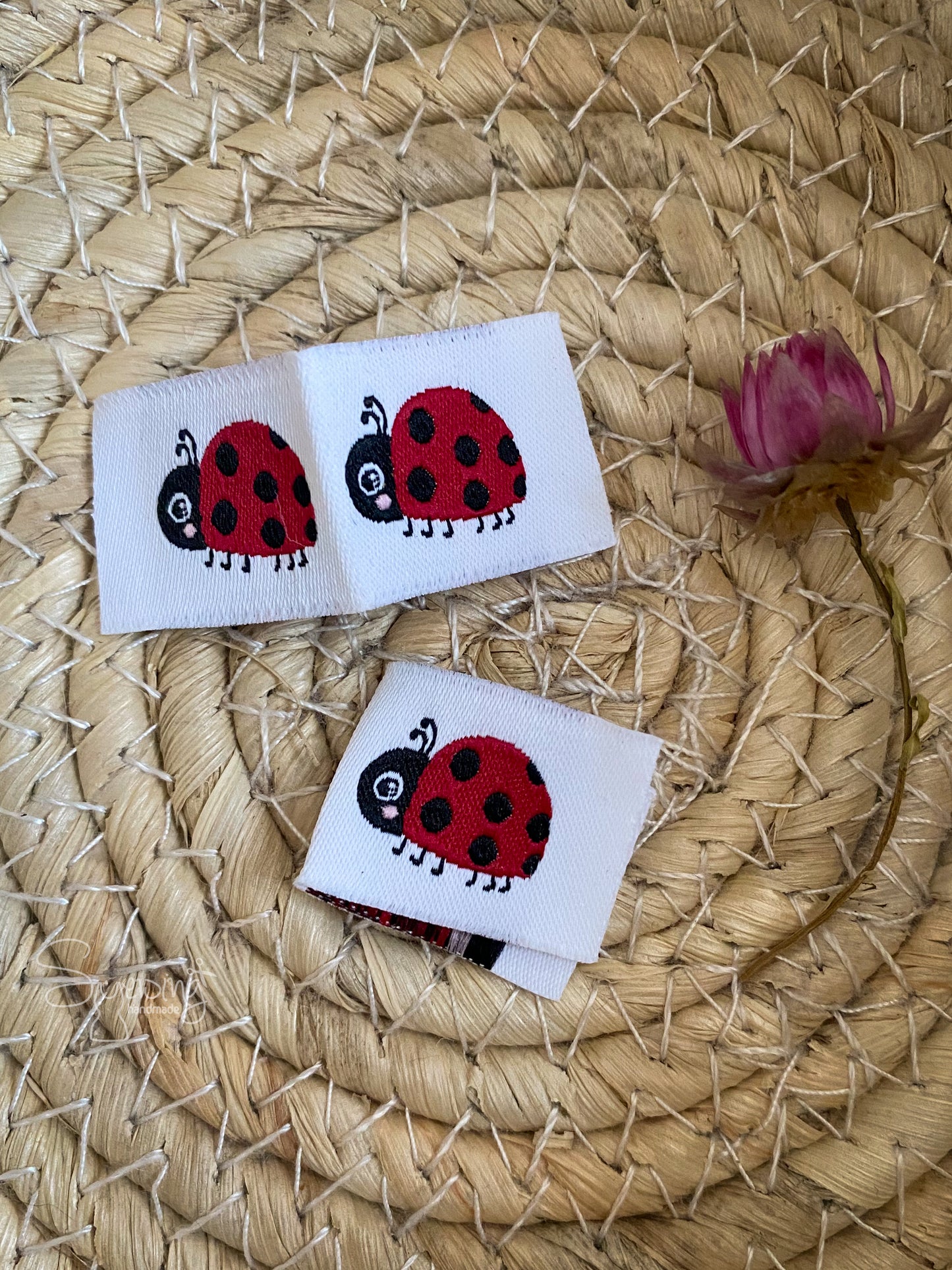 Marienkäfer "Mini but perfect" - Web Label