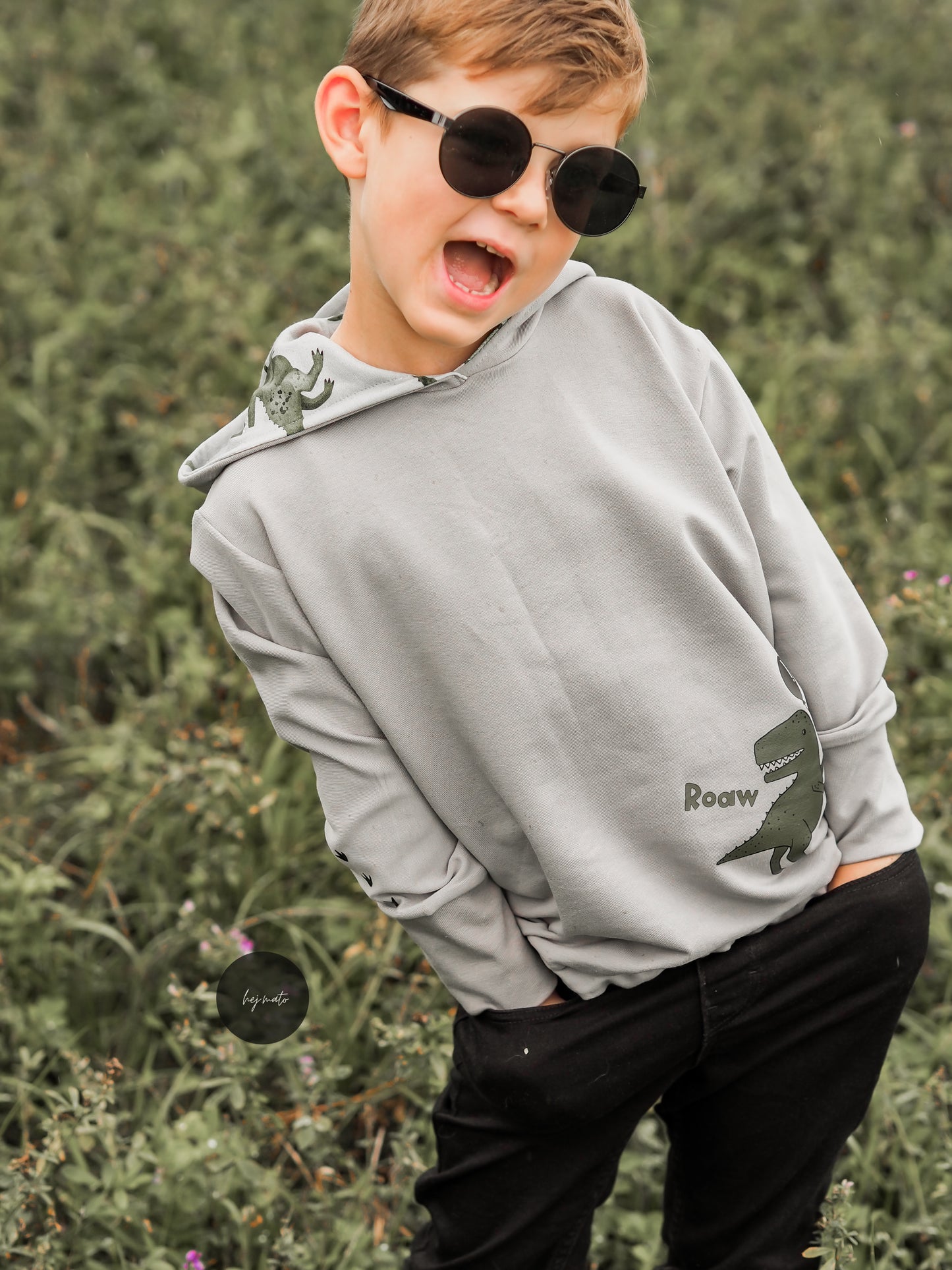 Geburtstags Dino boy Bügelbild groß