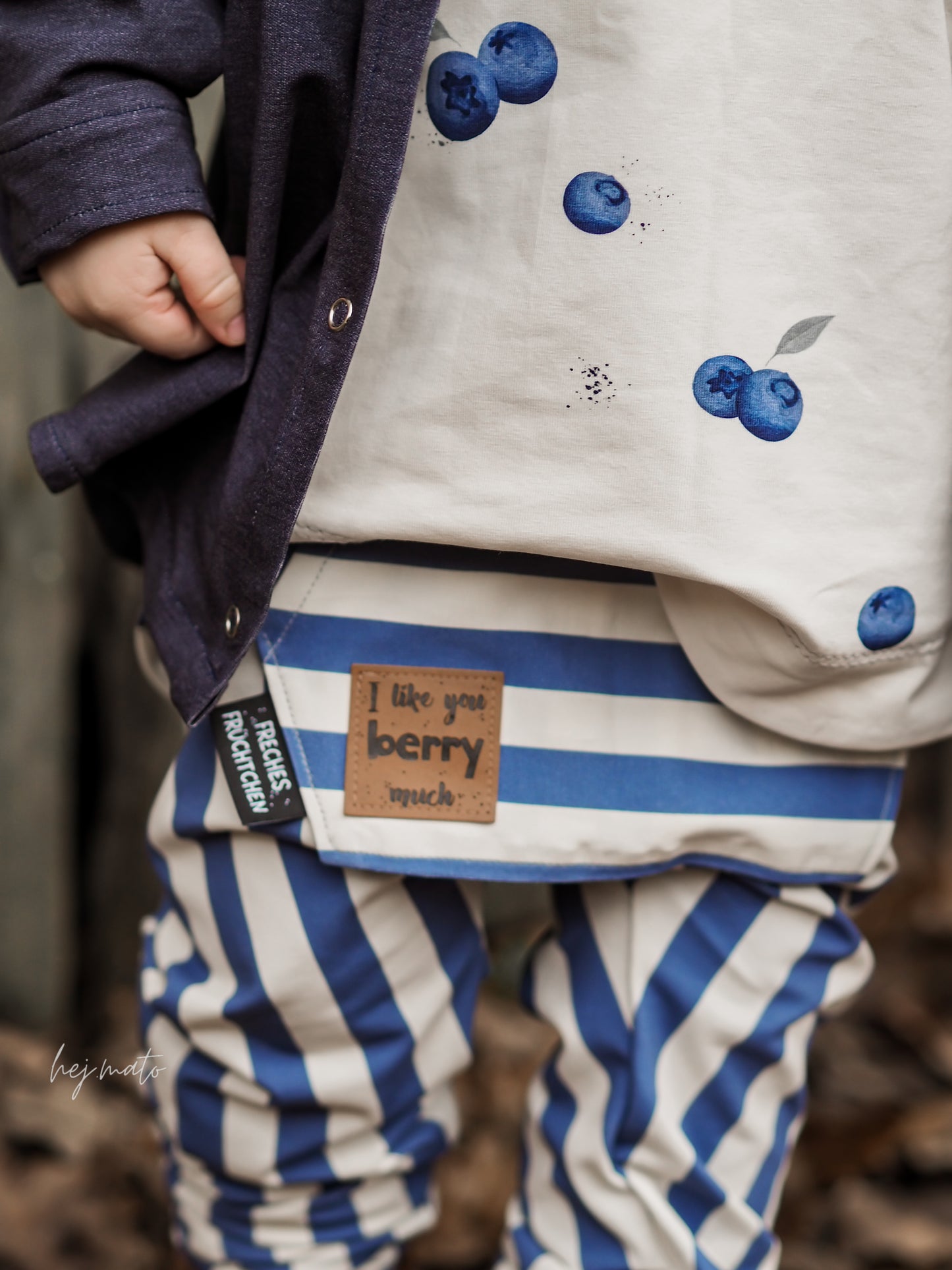 Stripes cream/blueberry Jersey