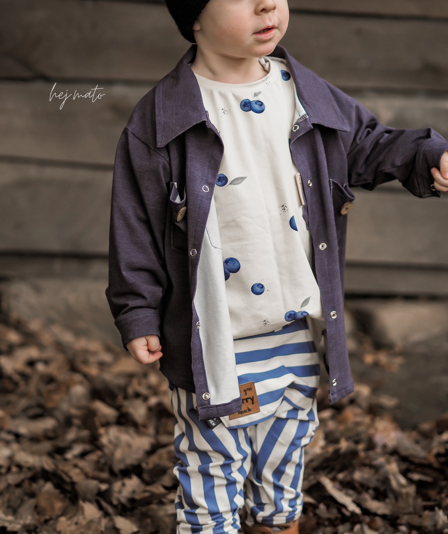 Stripes cream/blueberry Jersey