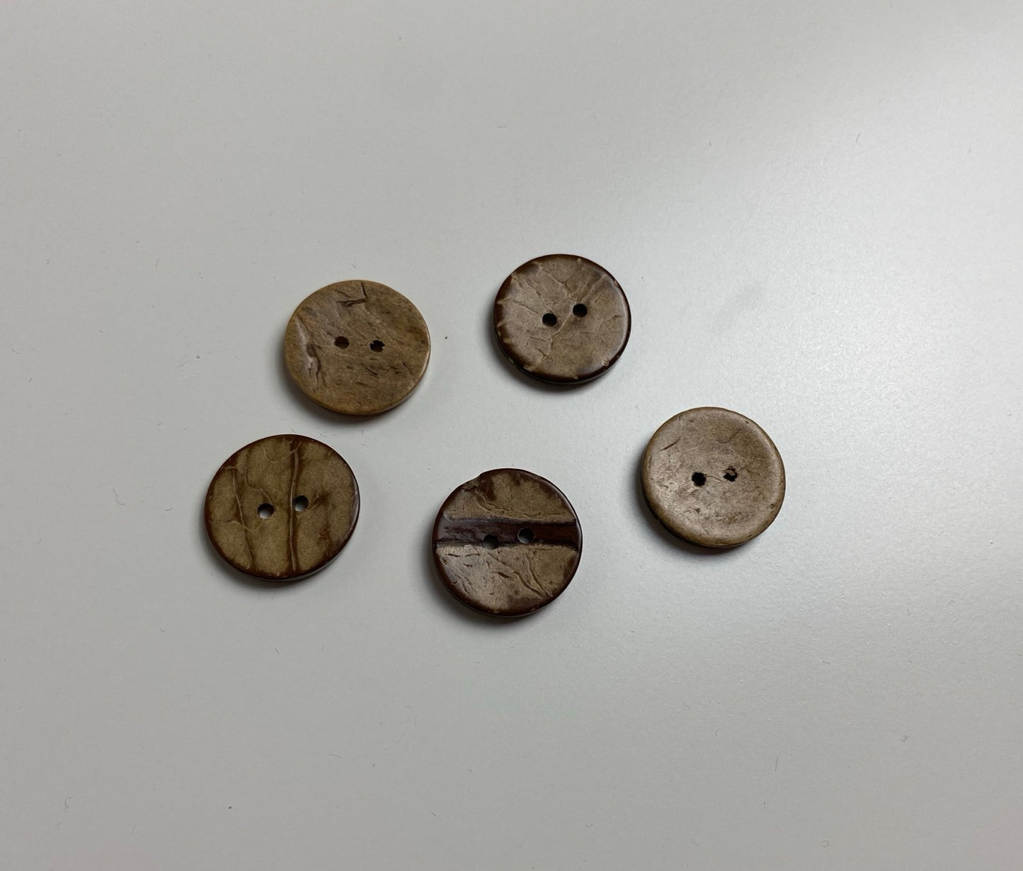 Set Kokosknöpfe (verschiedene Größen)