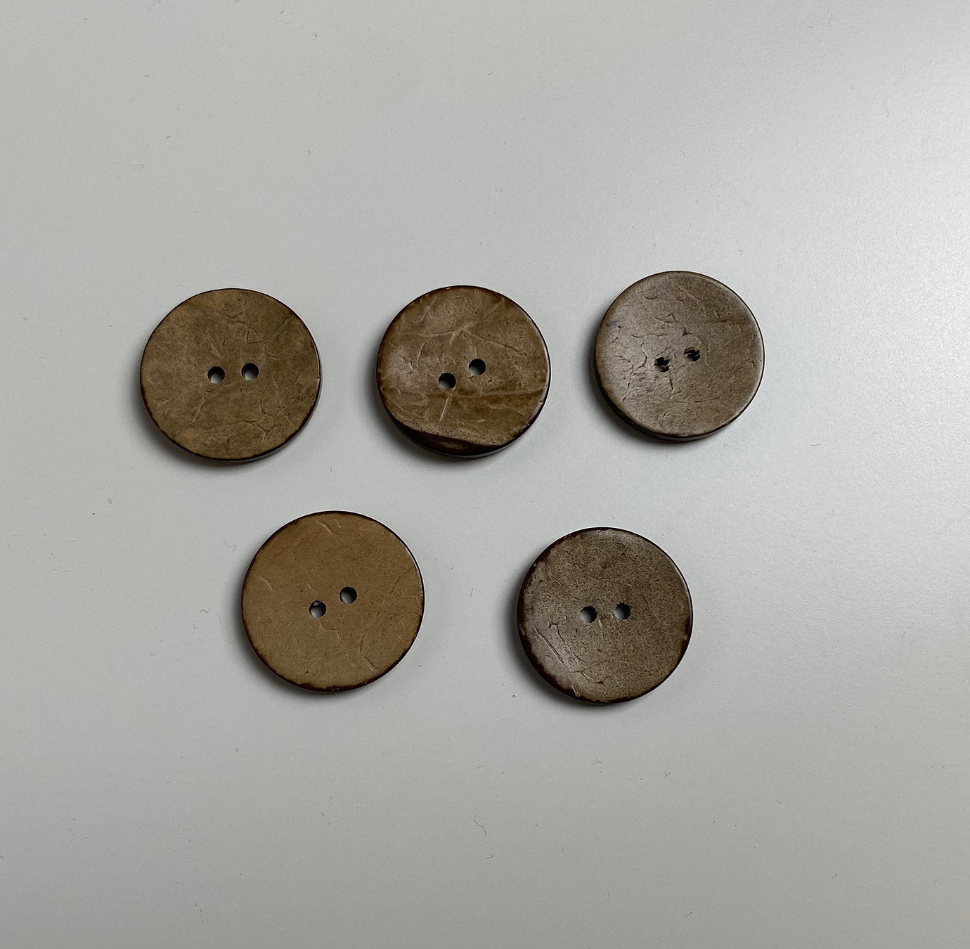 Set Kokosknöpfe (verschiedene Größen)