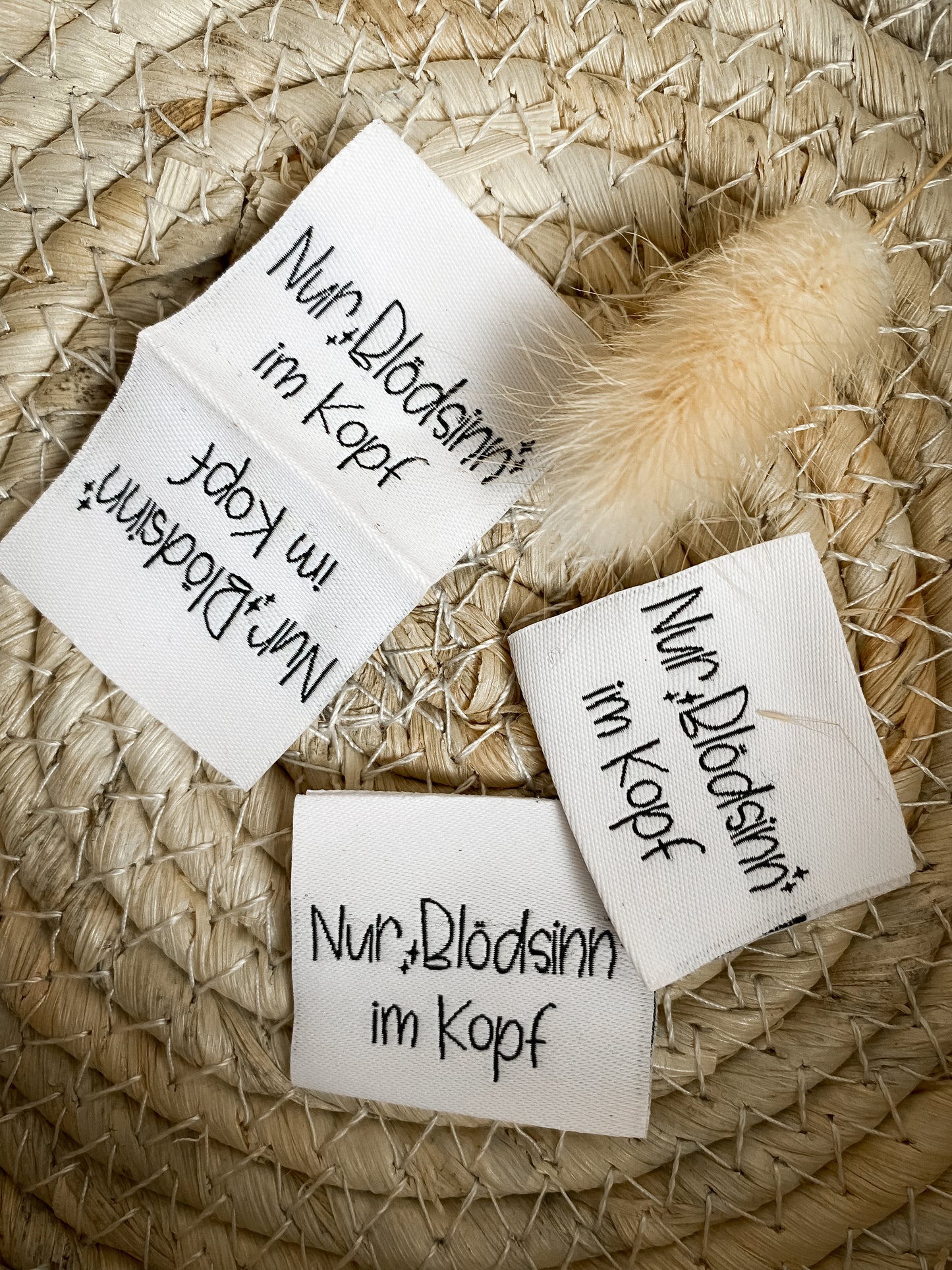 Nur Blödsinn im Kopf Web Label