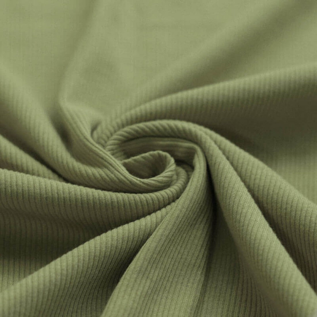 Rib Jersey Olive