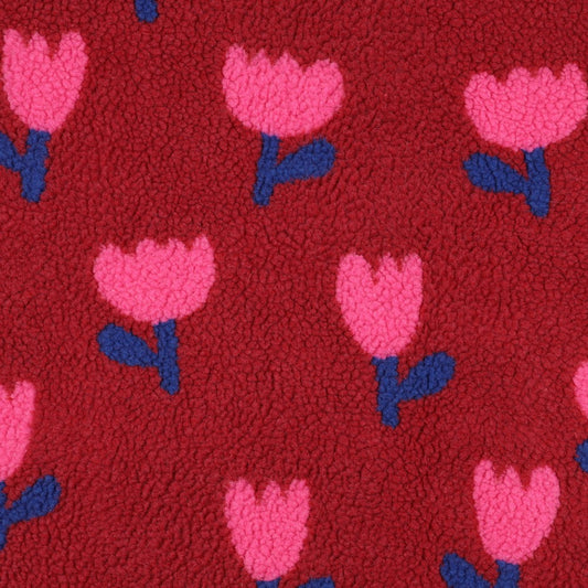 Teddy Tulpen rot/pink