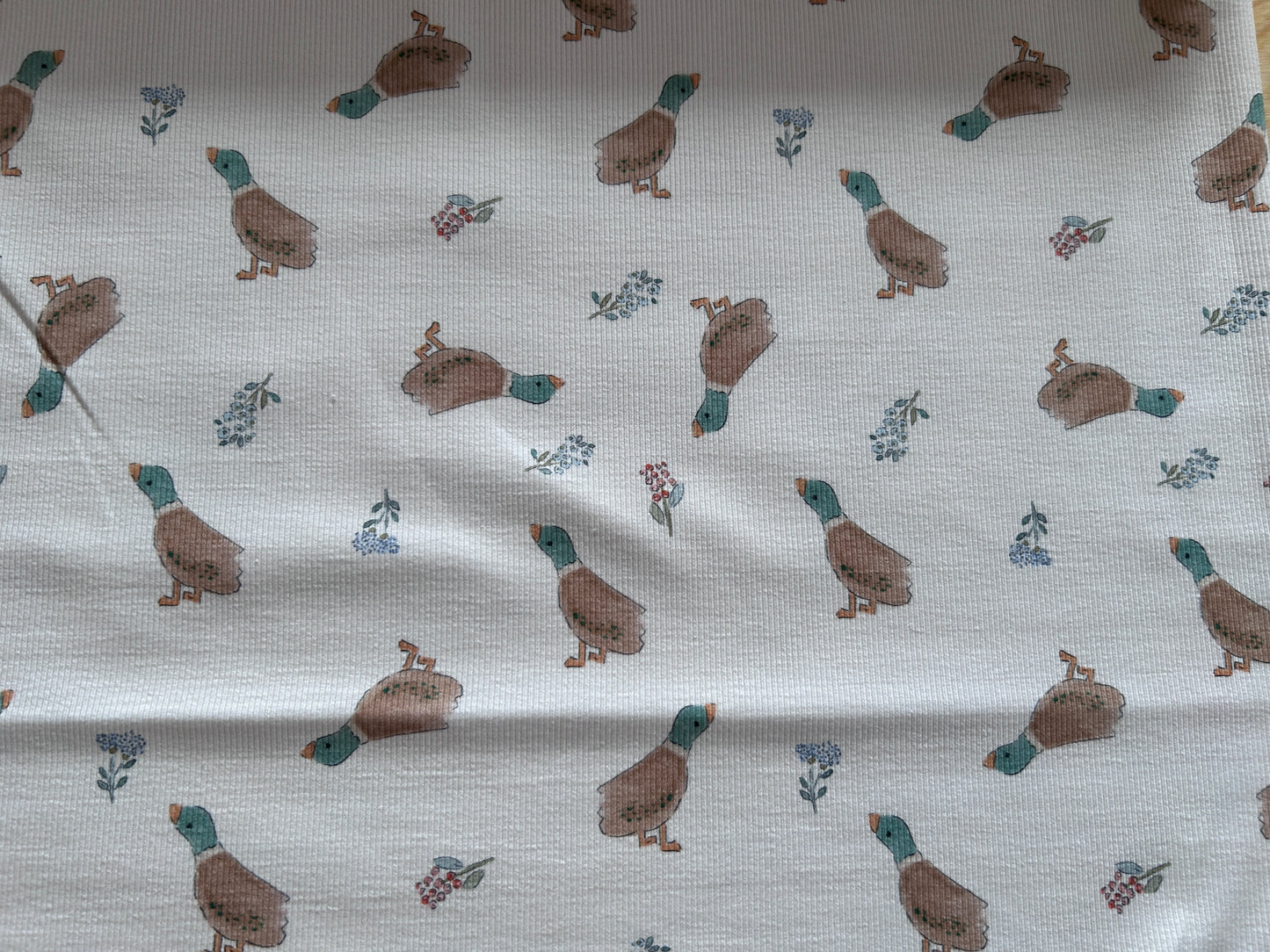 Ente im Frühling - Bio Rib Jersey