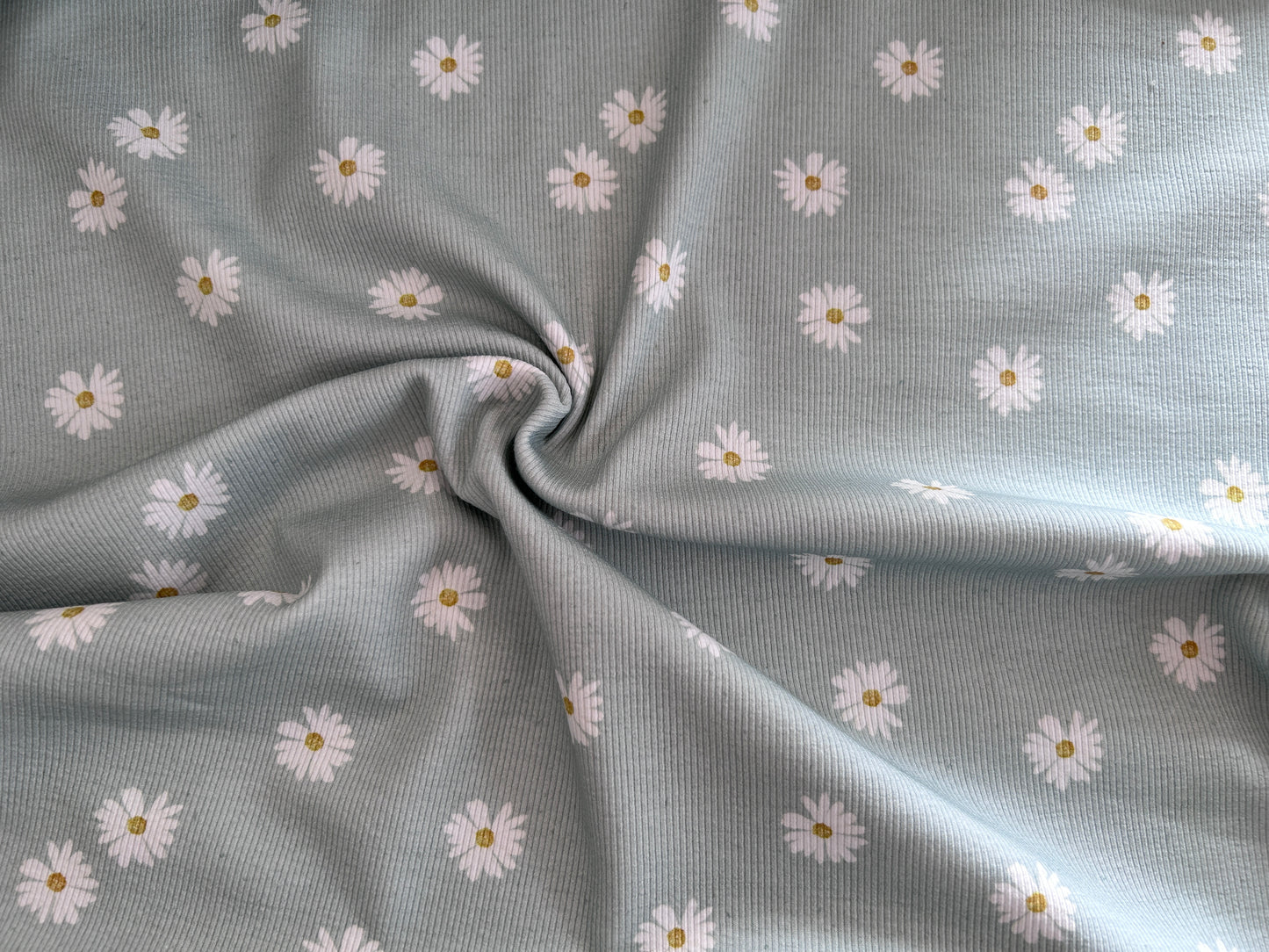 Gänseblümchen mint  - Bio Rib Jersey