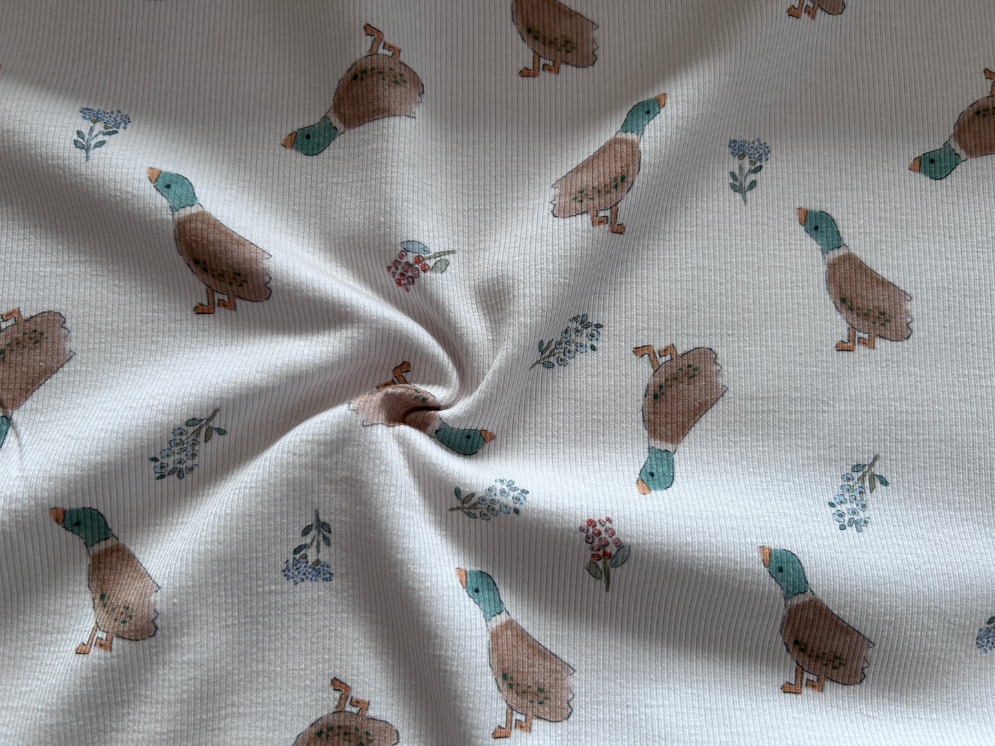 Ente im Frühling - Bio Rib Jersey