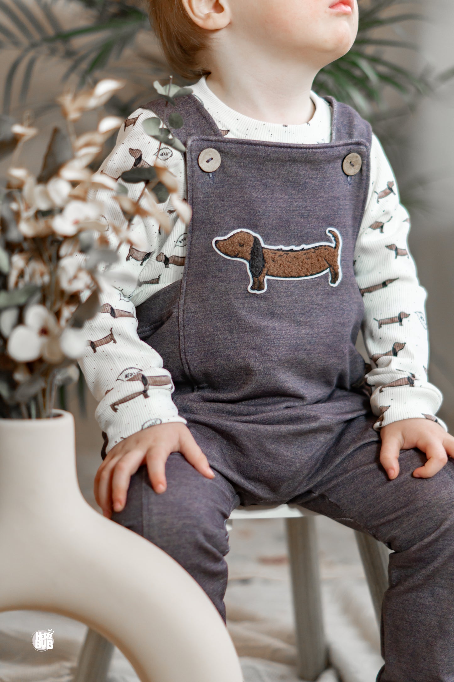 Dackel - Rib Jersey