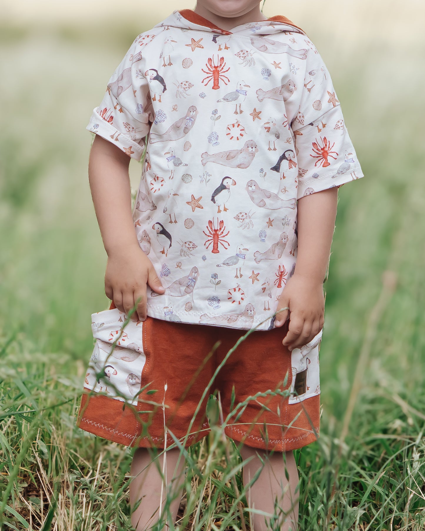 Strand & Meerestiere noddy - Jersey