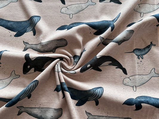 Whales of the sea - Rib Jersey ecru meliert