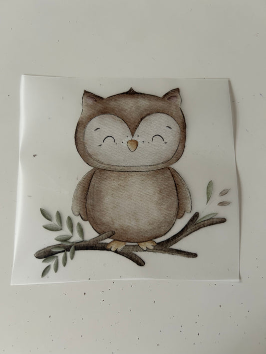 Eule - Bügelbild