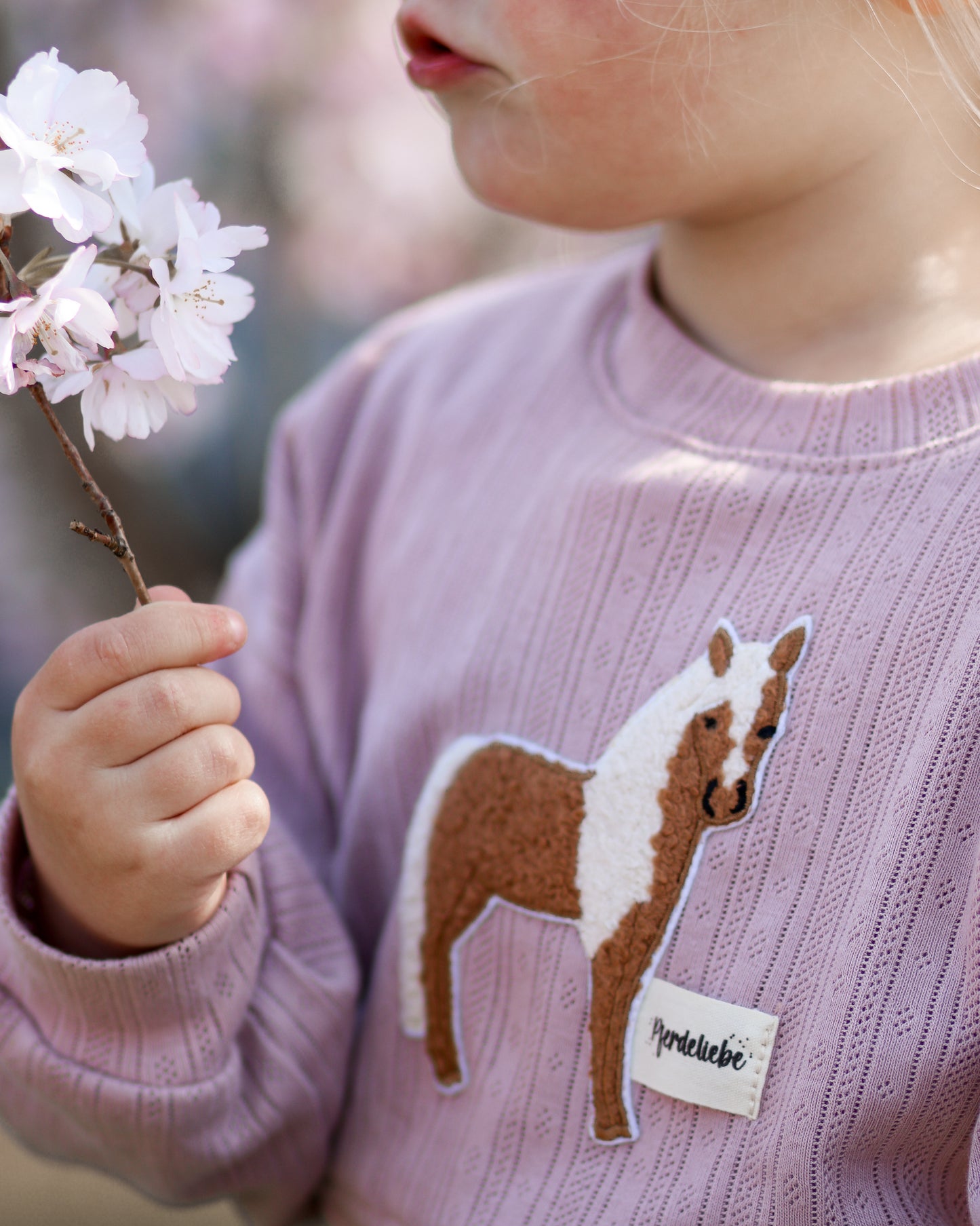 Haflinger Pferd auf der Blumenwiese offwhite - Rib Jersey