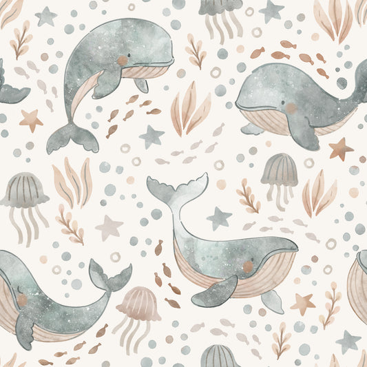Big Whale of the sea - Jersey