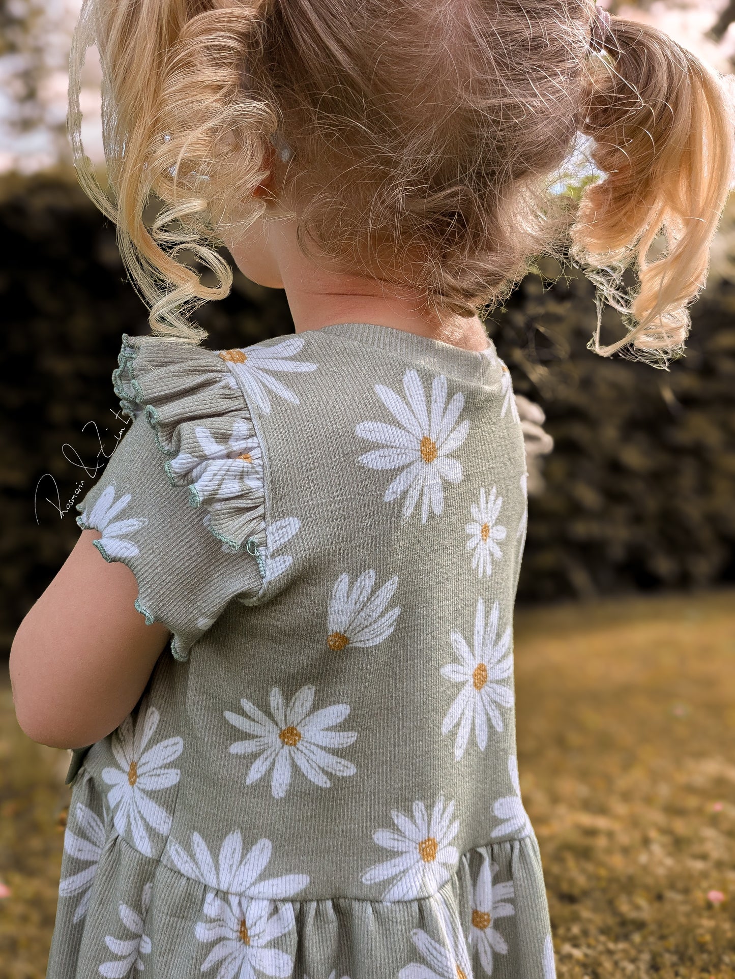 Daisy green - Bio Rib Jersey