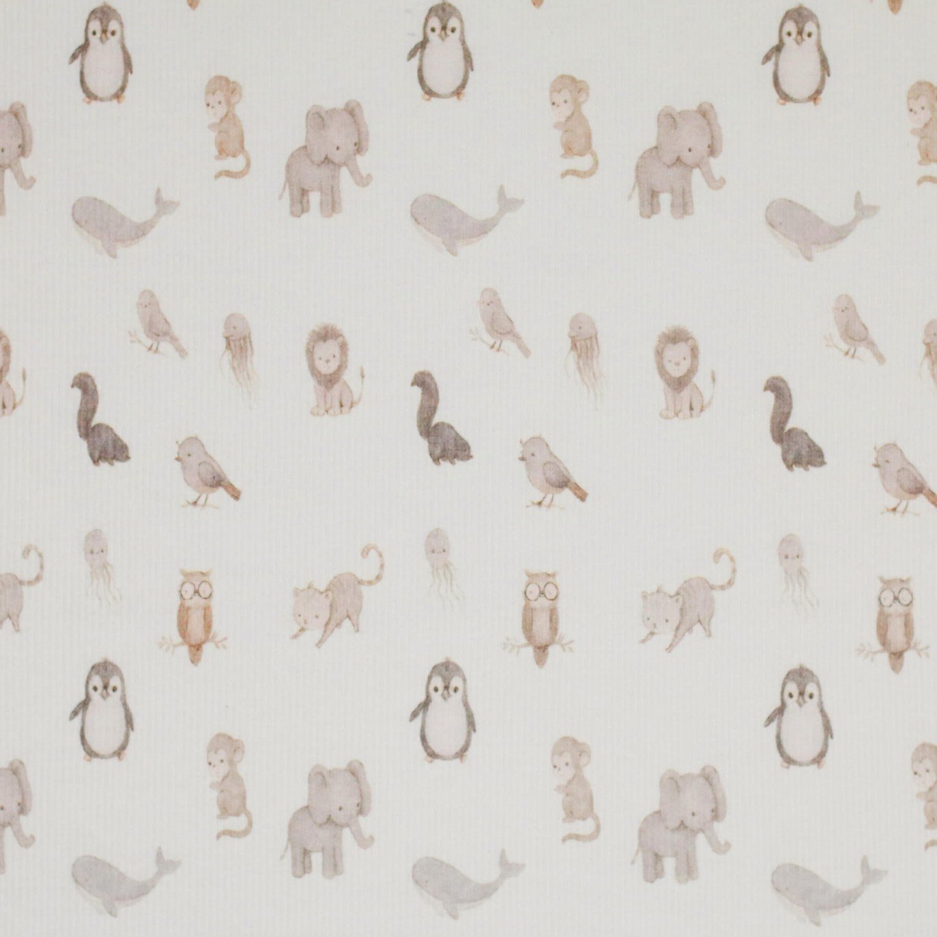 Baby Animals - Rib Jersey