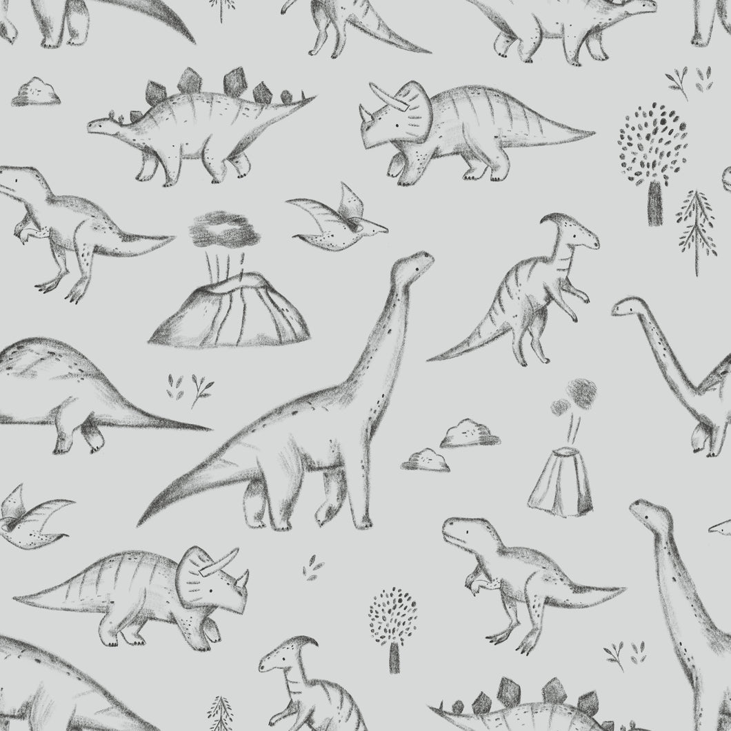 Dino World grey Softshell