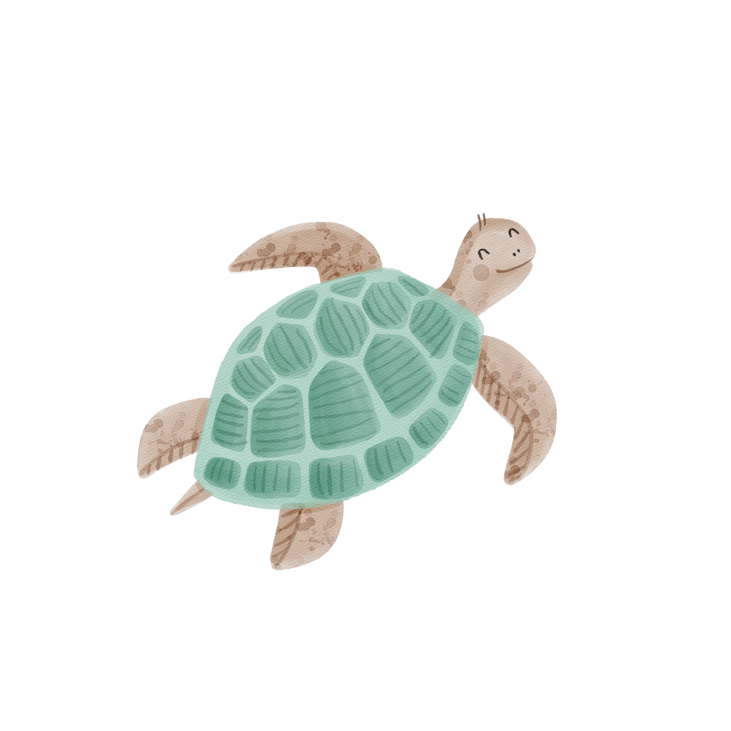 Schildkröte türkis Bügelbild klein