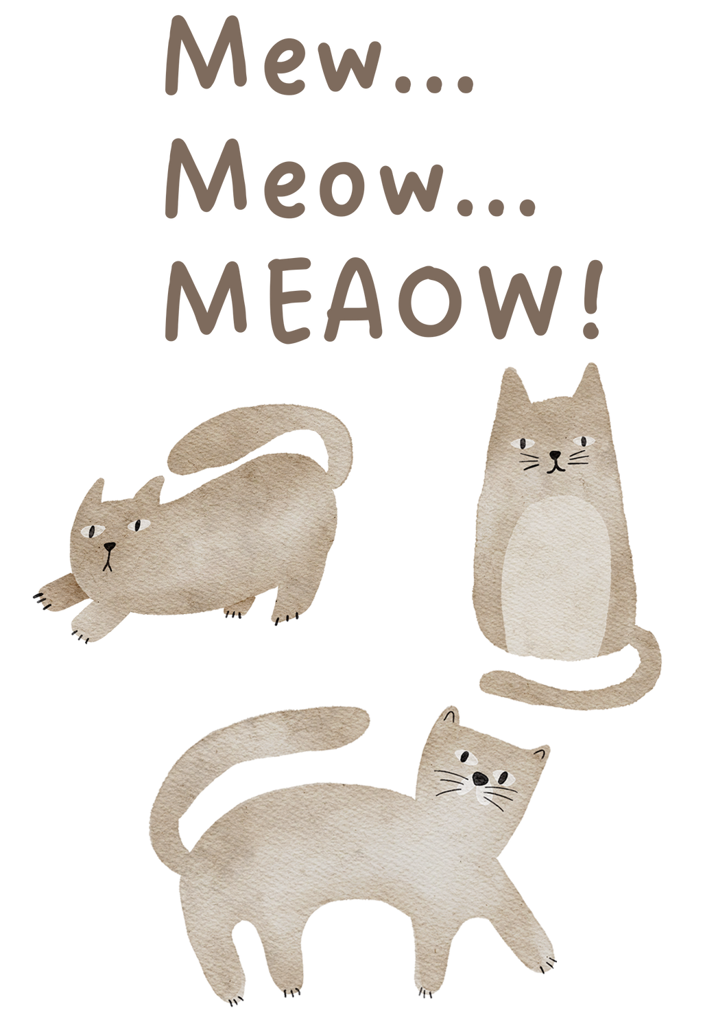 Cats 