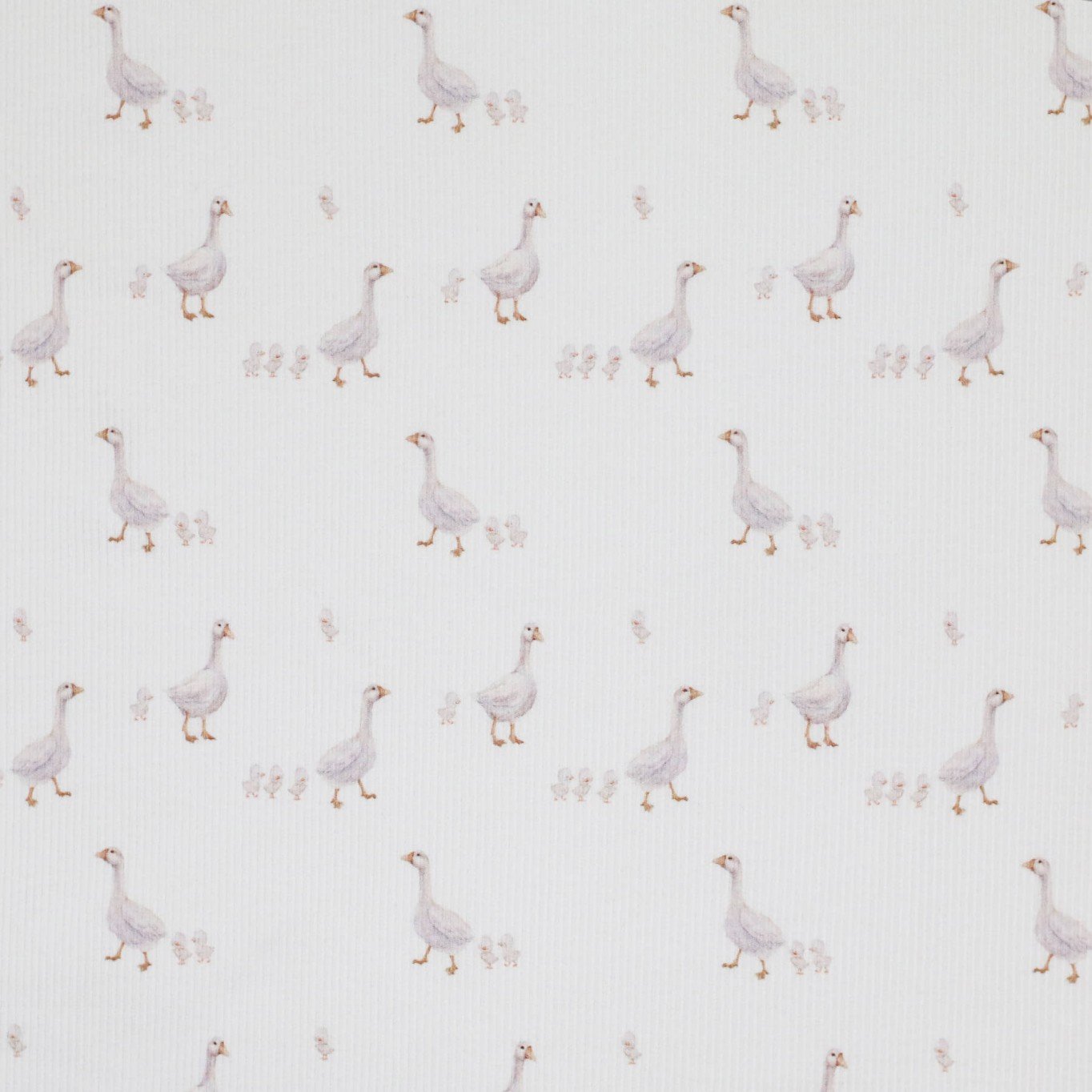 Gänse Marsch - Rib Jersey