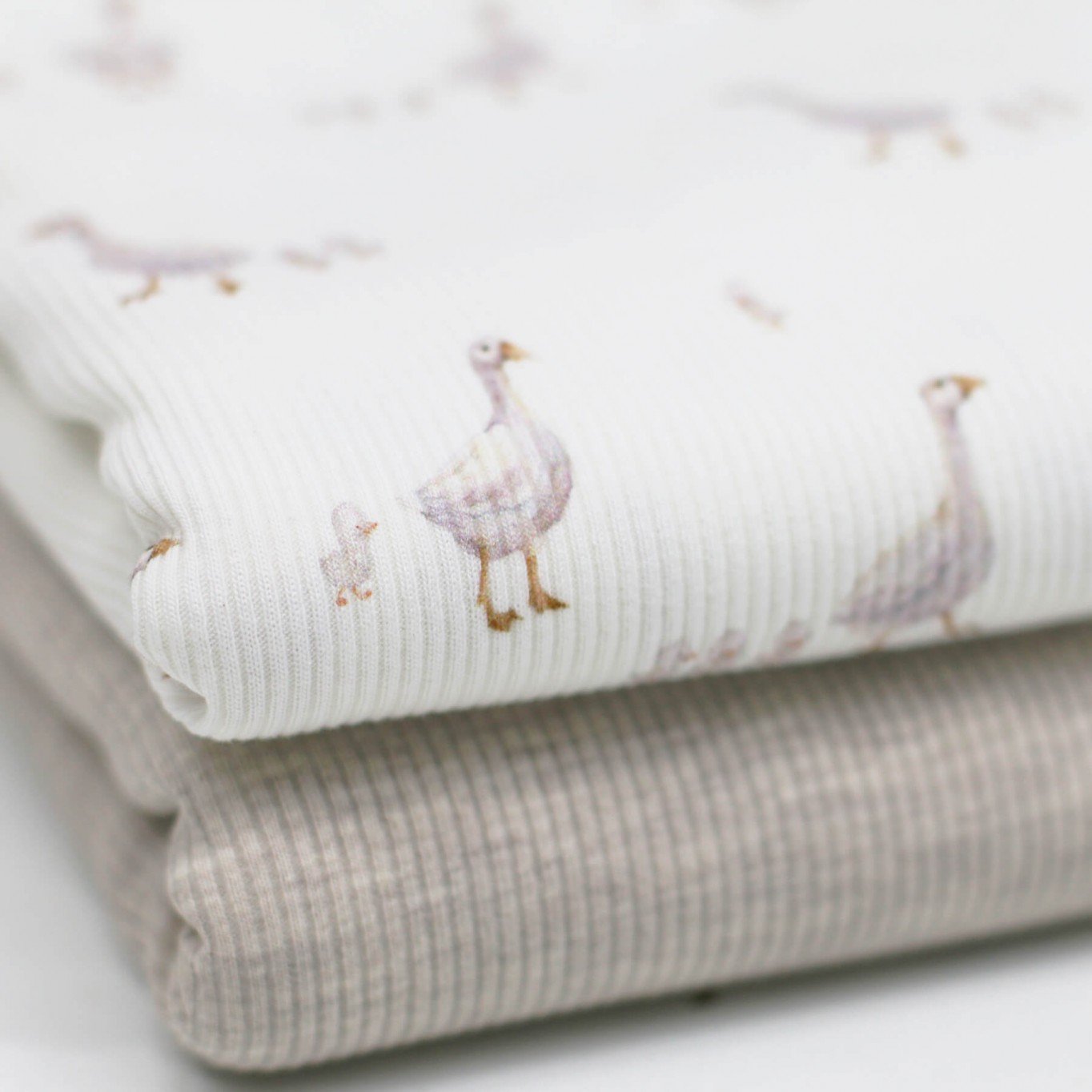 Gänse Marsch - Rib Jersey