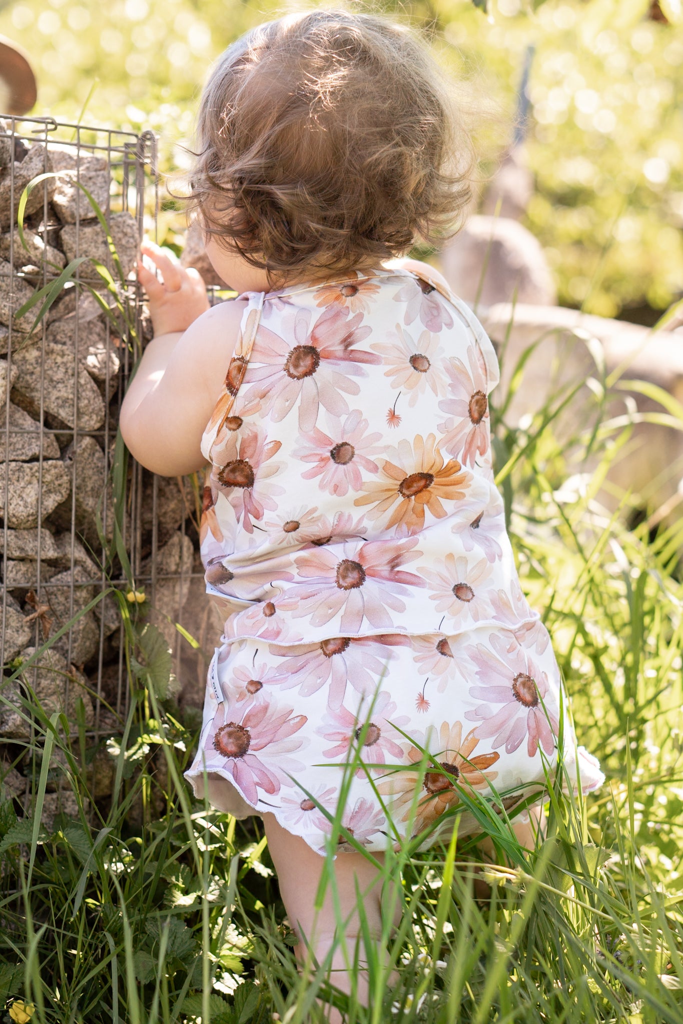Summer Daisy rose - Jersey