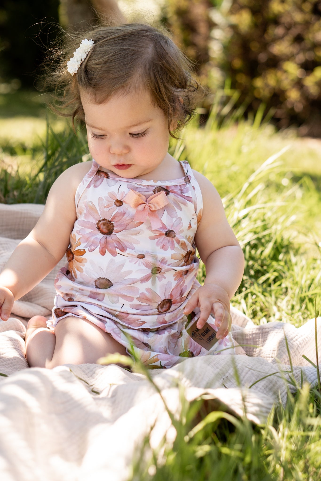 Summer Daisy rose - Jersey