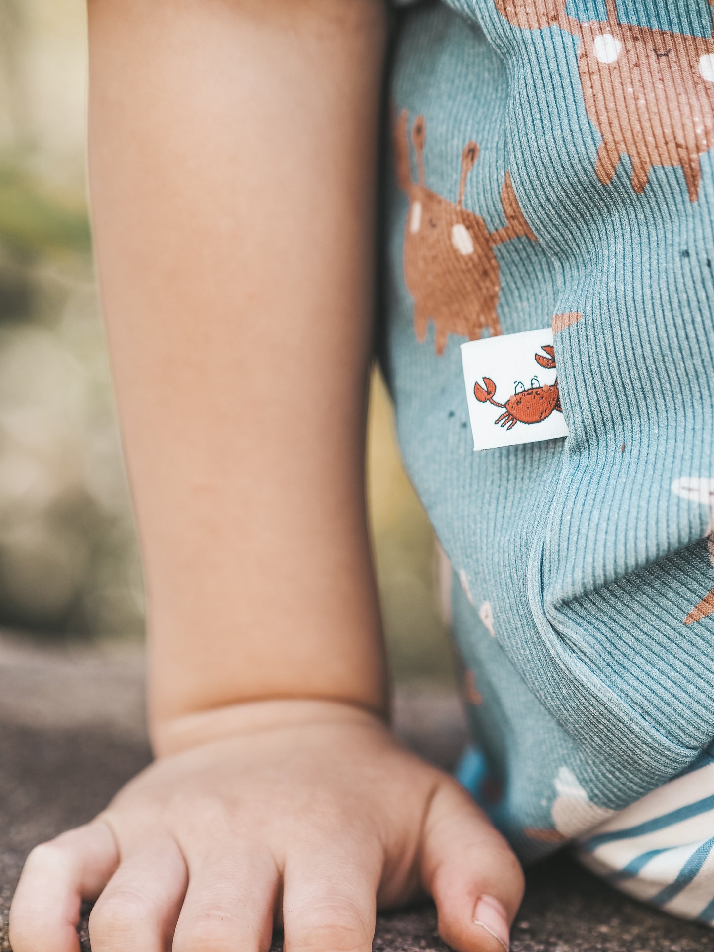 Marine Seagull & Crab - Rib Jersey