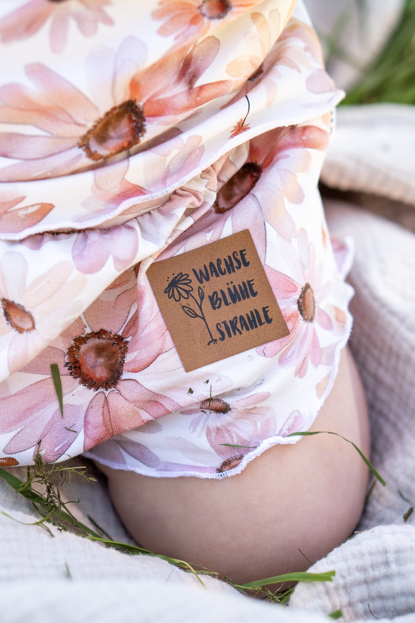 Summer Daisy rose - Jersey