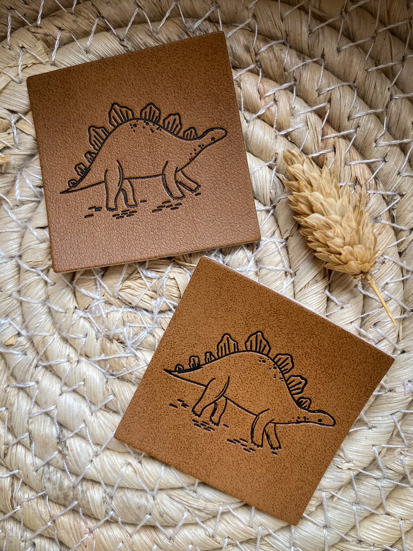 Dino Mountain (Stegosaurus) - Kunstleder Label