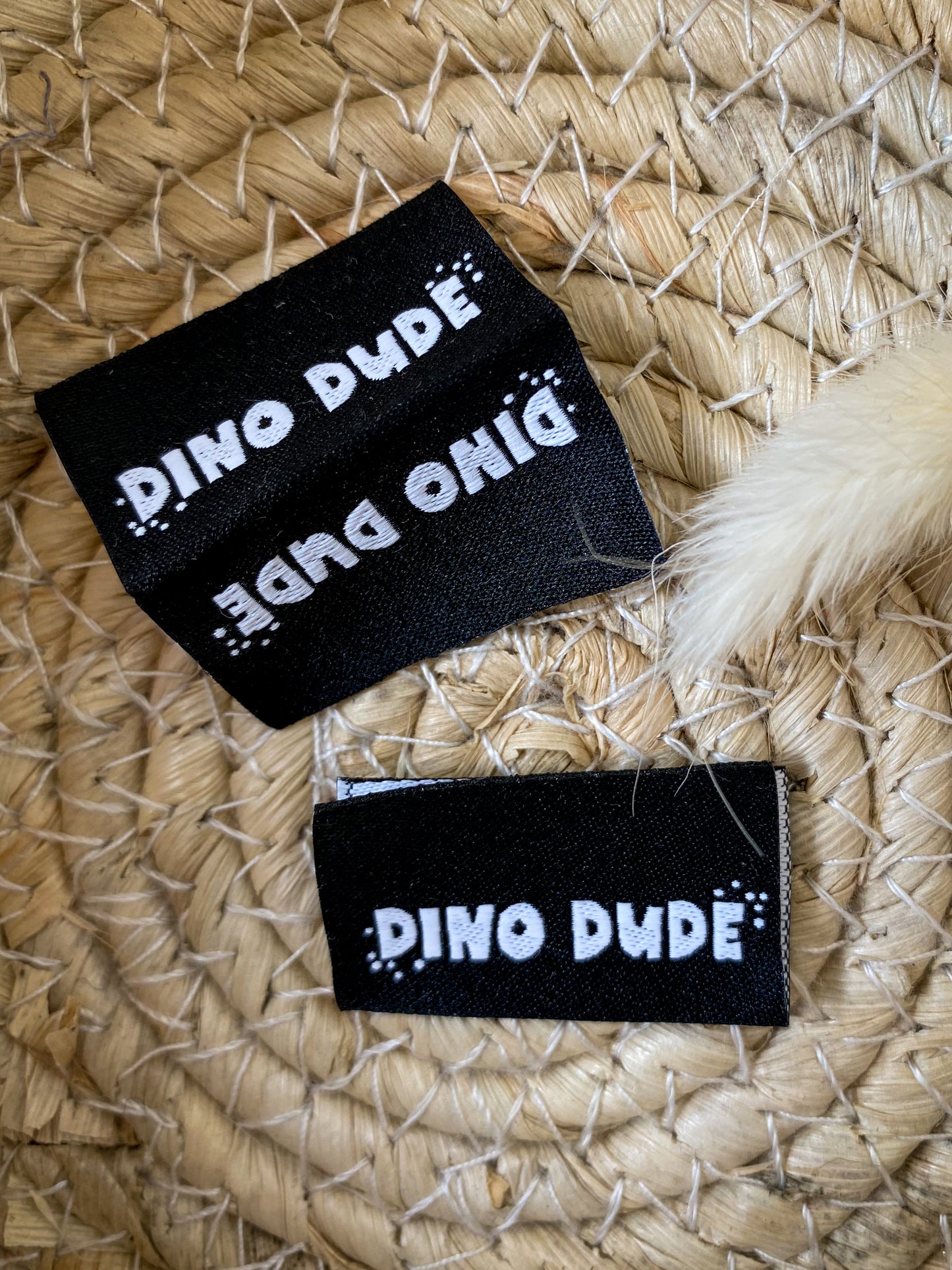 Dino Dude - Web Label
