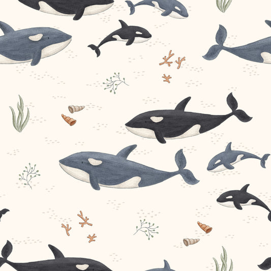 Orca Family - Jersey