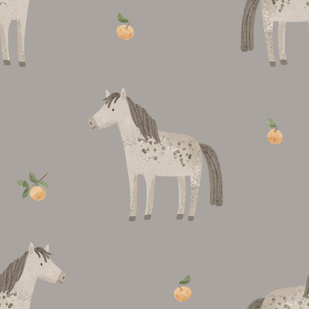 Horse grey - Softshell