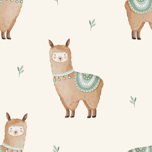 Lama - Jersey