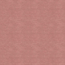 Lade das Bild in den Galerie-Viewer, Denim pale red French Terry
