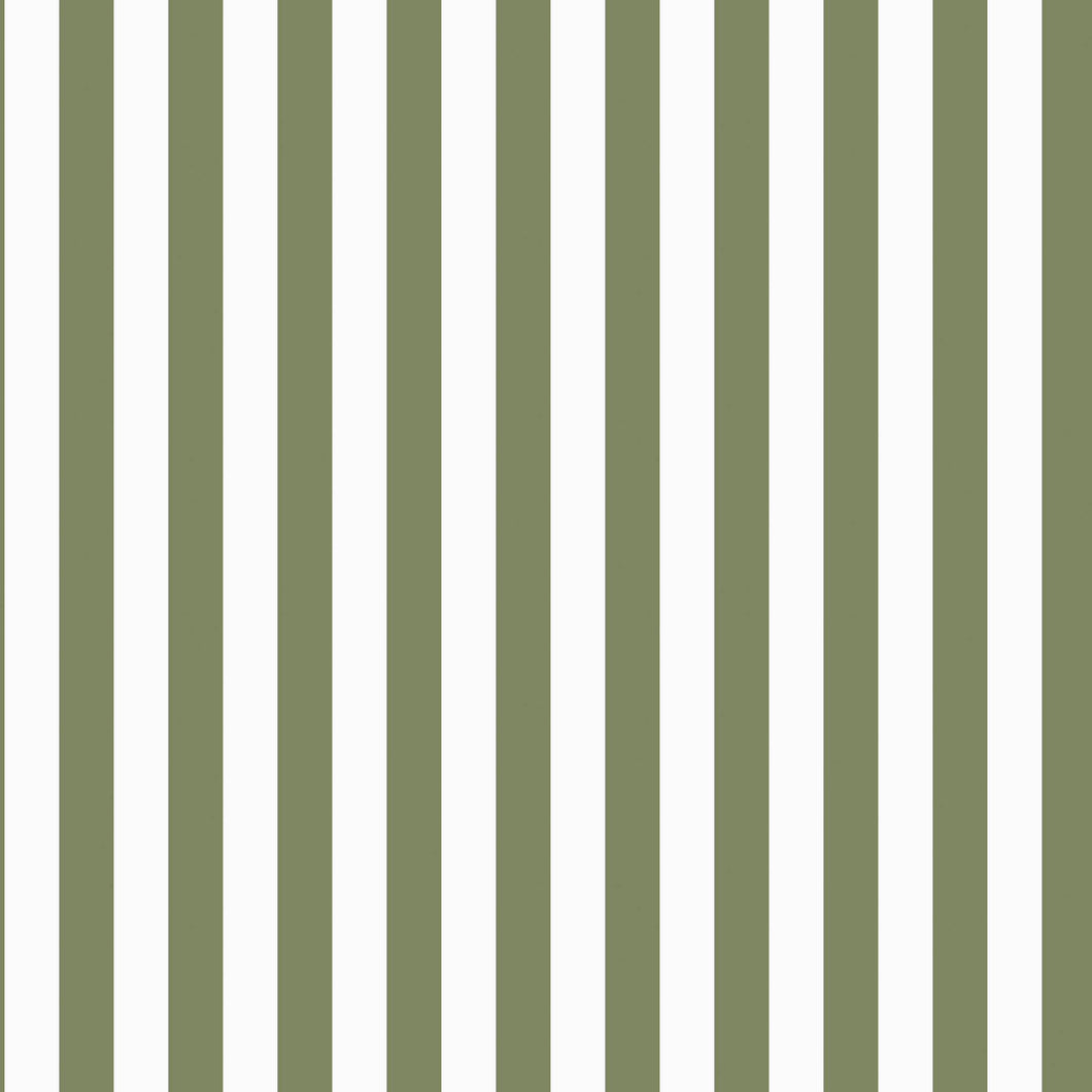 Stripes cream/olive Jersey