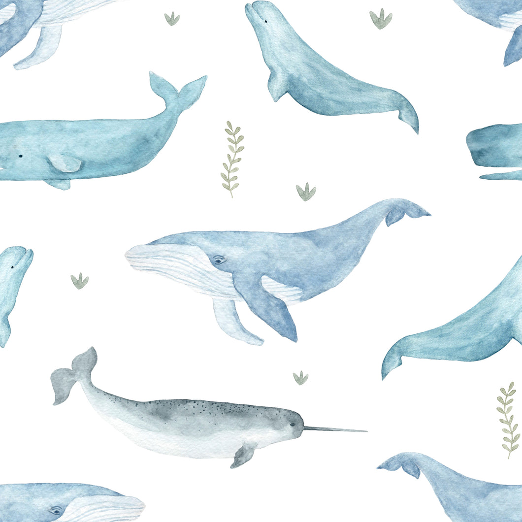 Musselin Wale
